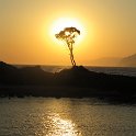 IMG 0479