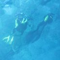 IMG 0542