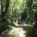 IMG 0645