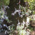 IMG 0653