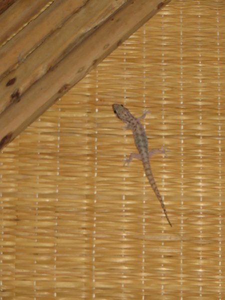 IMG 7640
