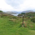 IMG 5481