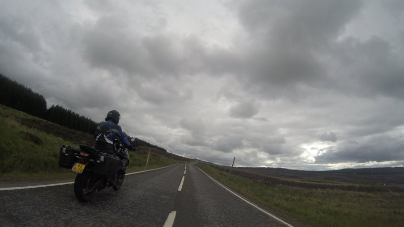 G0019224