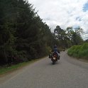 G0029395