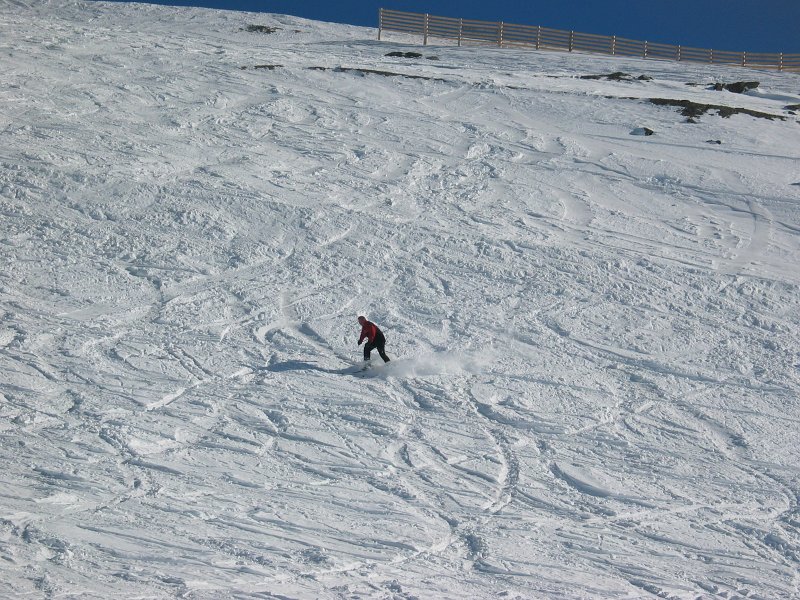 IMG 0539