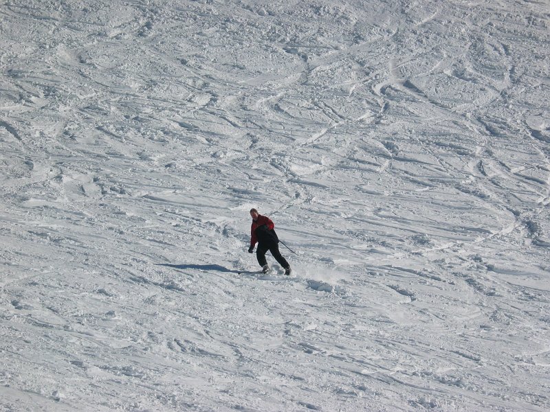 IMG 0541