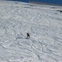 IMG 0539