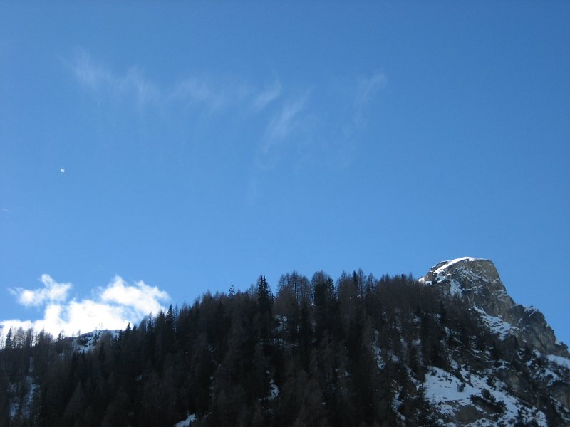 IMG 8878