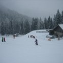 IMG 8958