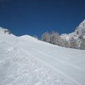 IMG 9003