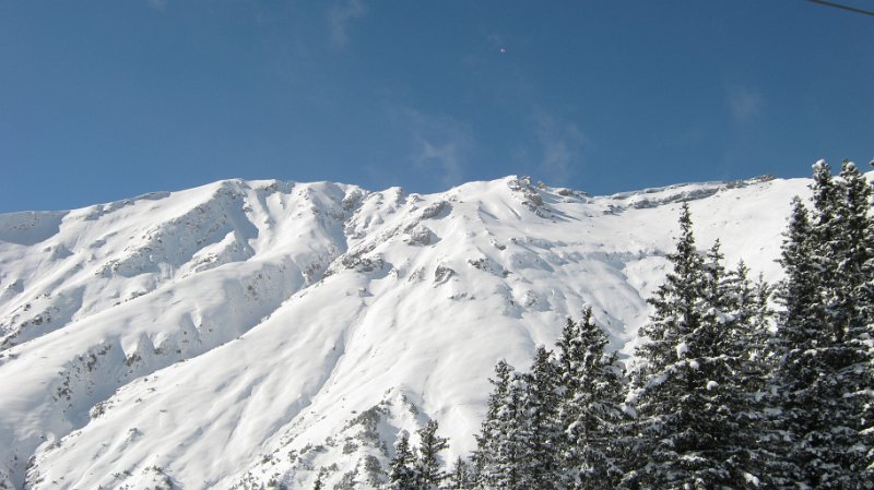 IMG 0169