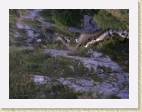 DSCN0654