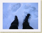 DSCN0664