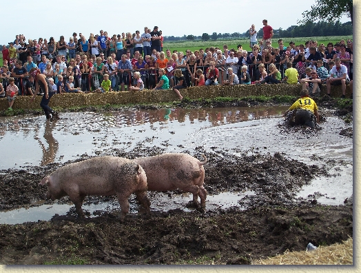 Volgende foto