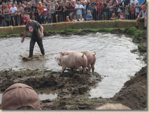 Volgende foto