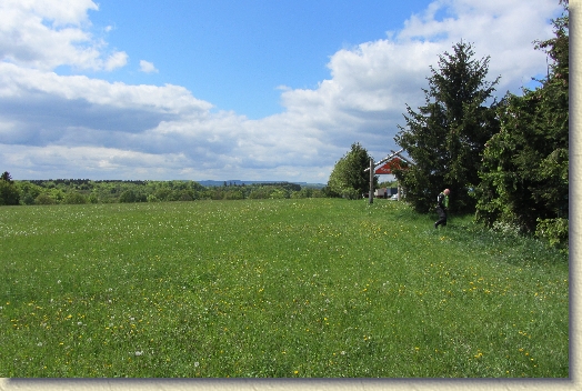 Volgende foto
