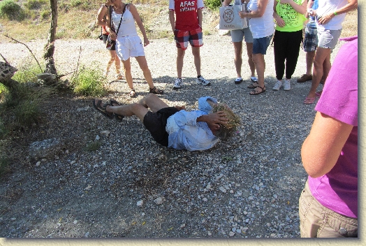 Volgende foto