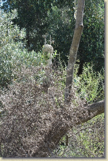 Volgende foto