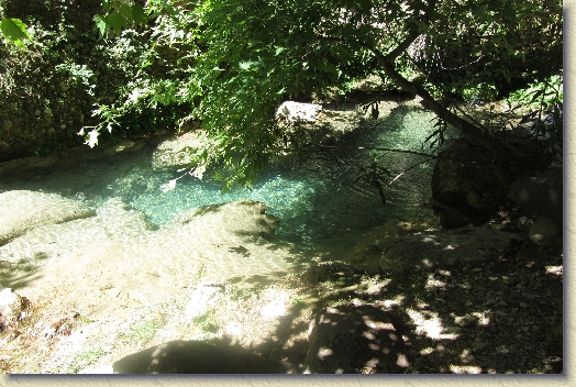 Volgende foto