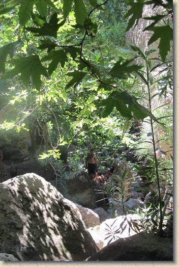 Volgende foto