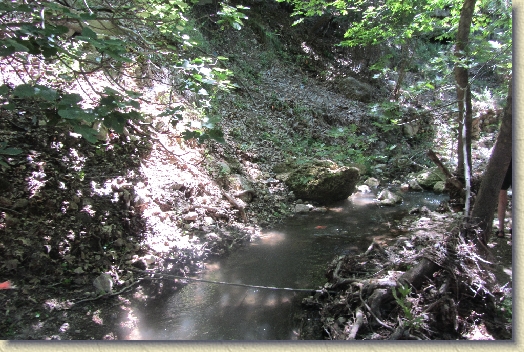 Volgende foto