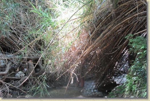 Volgende foto