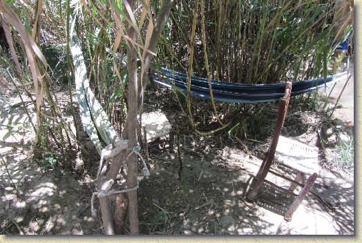 Volgende foto