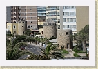 IMG 4261