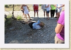 IMG 4297