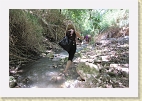 IMG 4381