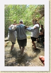 IMG 4451