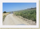 IMG 4567