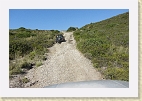 IMG 4590