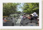 IMG 4631