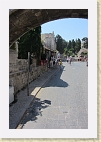 IMG 4651