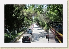 IMG 4716