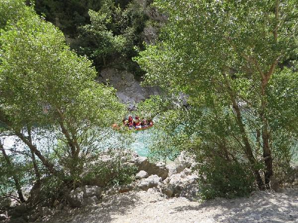 IMG 0079