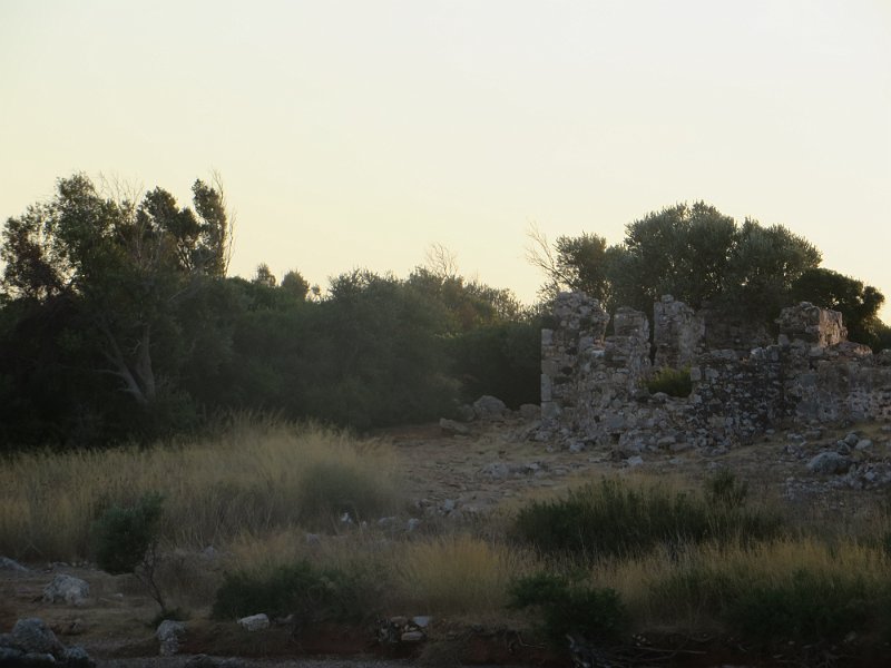 IMG 0476