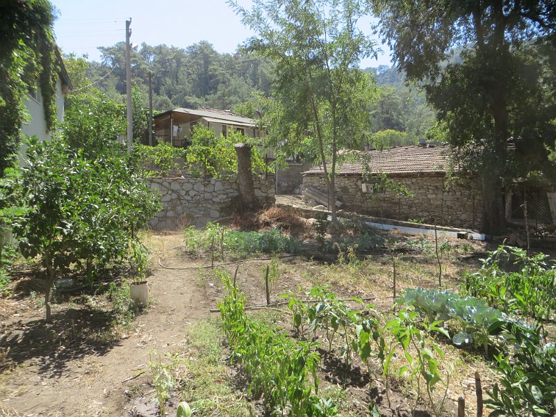 IMG 0636