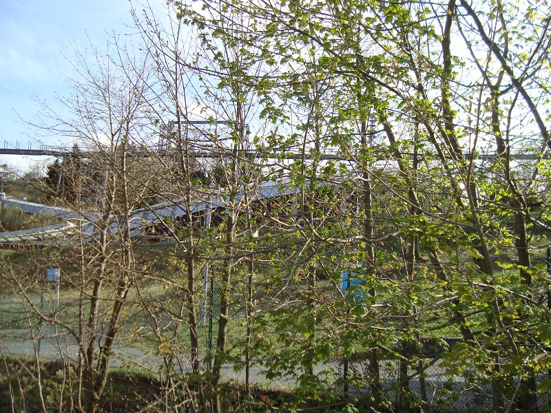 DSC07296