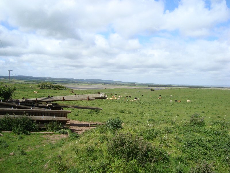 DSC07399