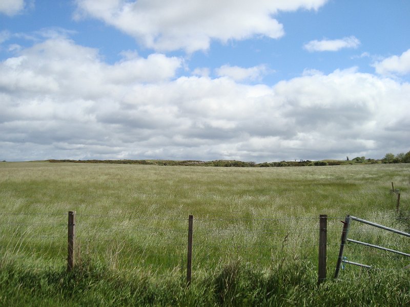DSC07404