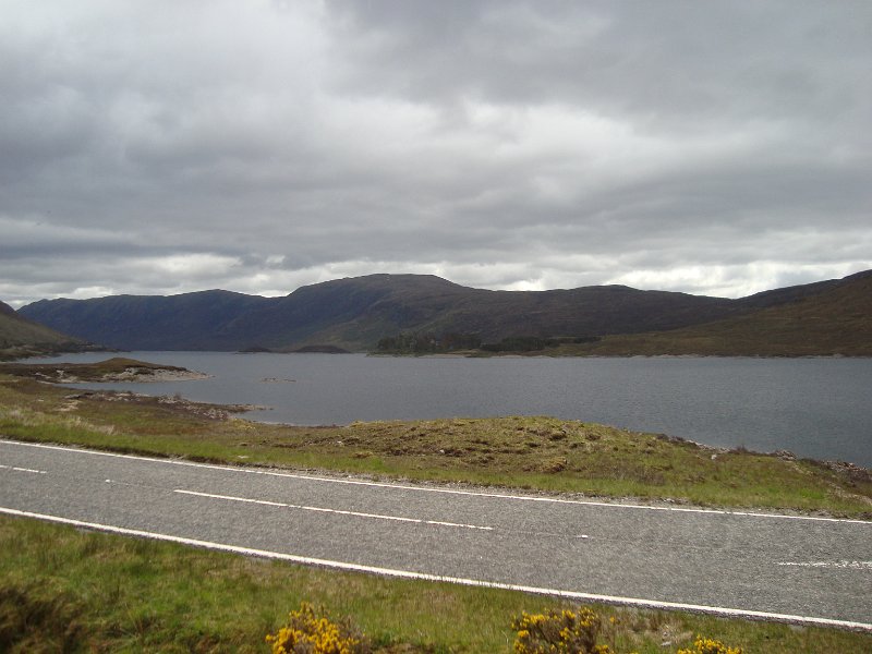 DSC07504