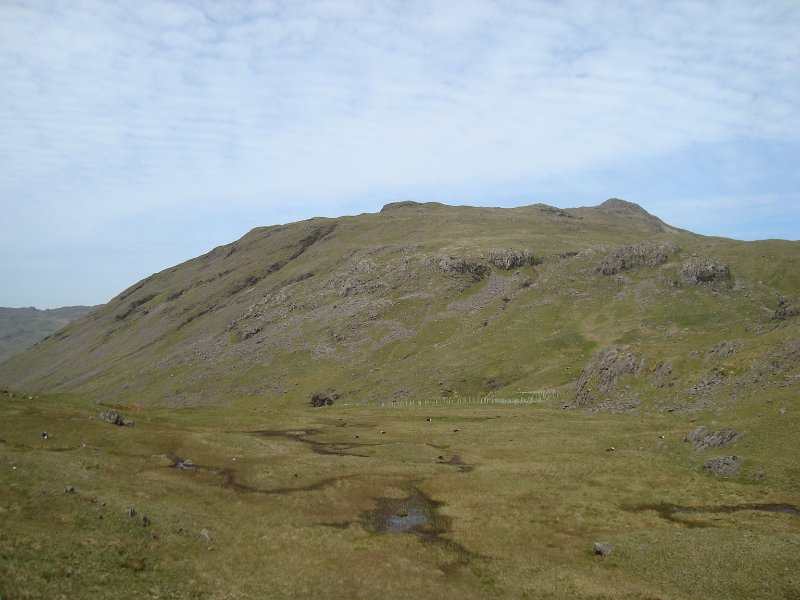 DSC07742