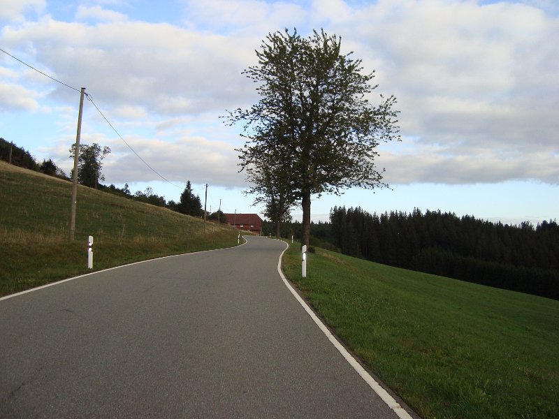 DSC07847