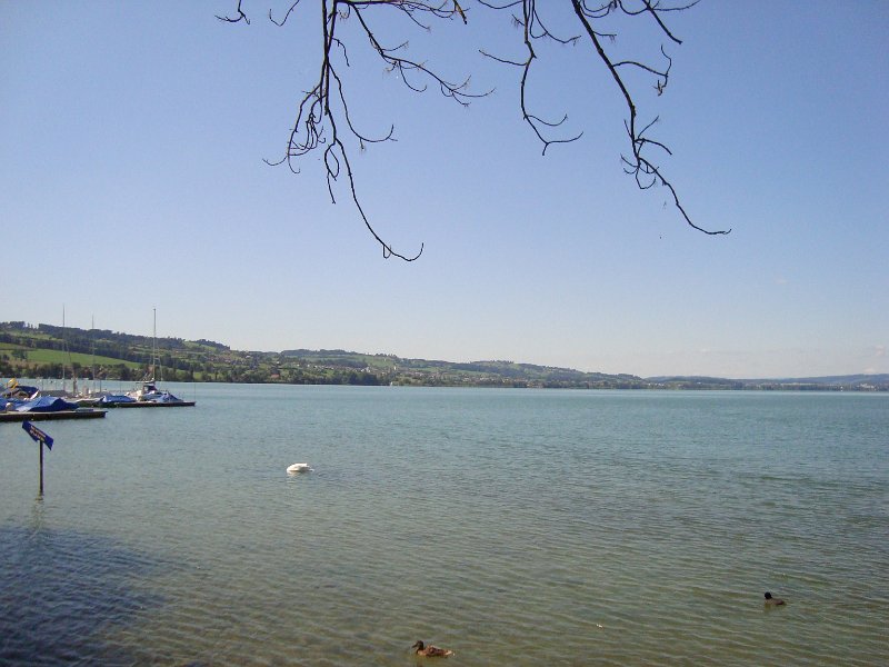 DSC07869