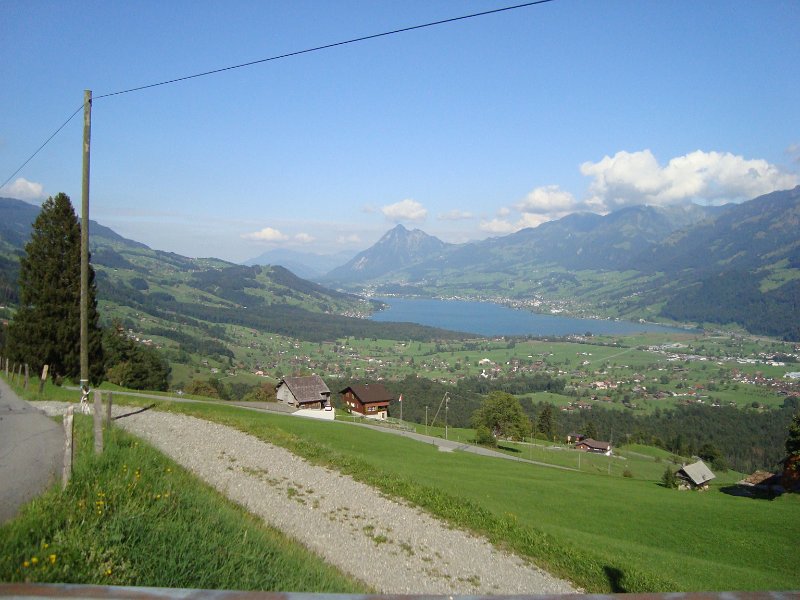 DSC07885