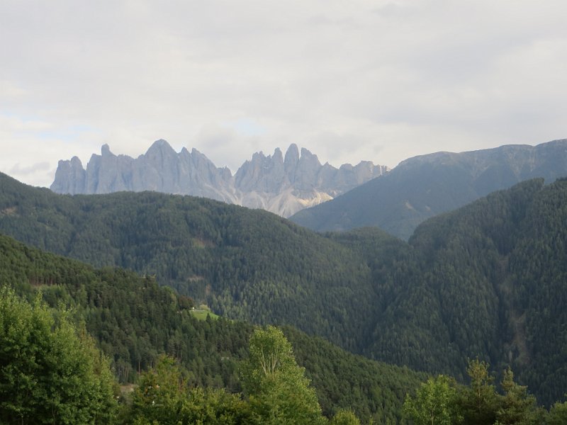 IMG 8739