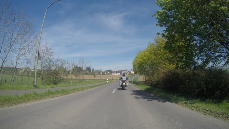 G0033491