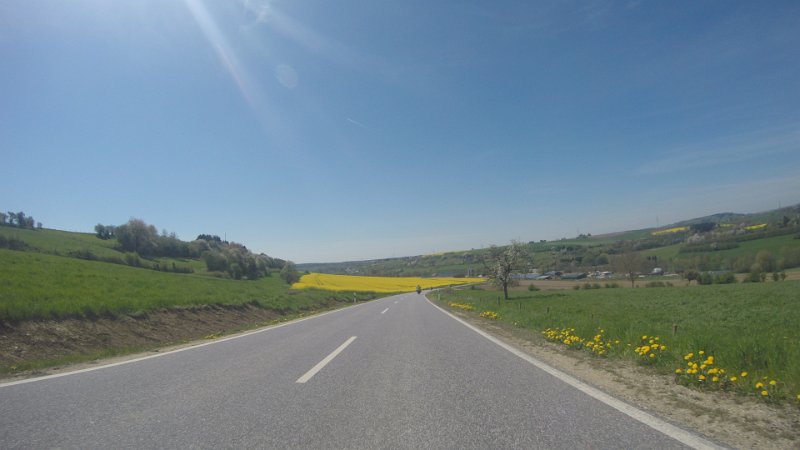 G0033533
